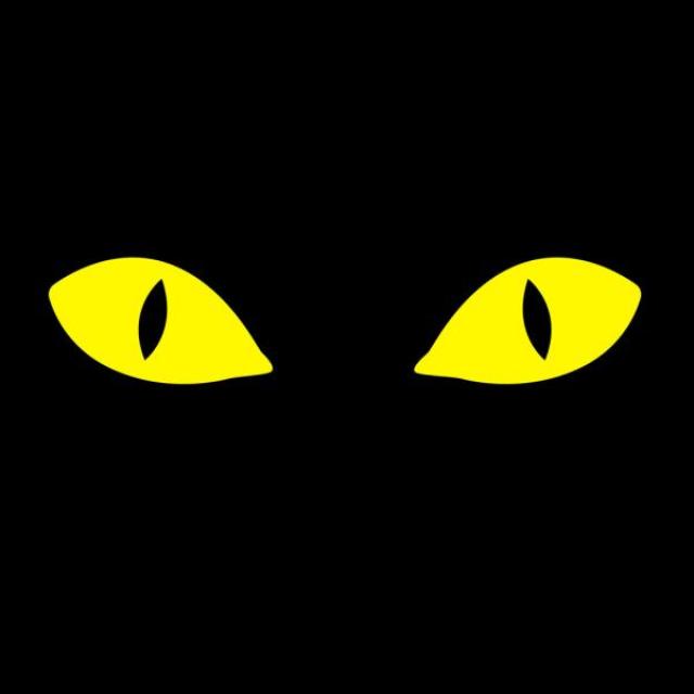 A black background with yellow cat eyes in it.
