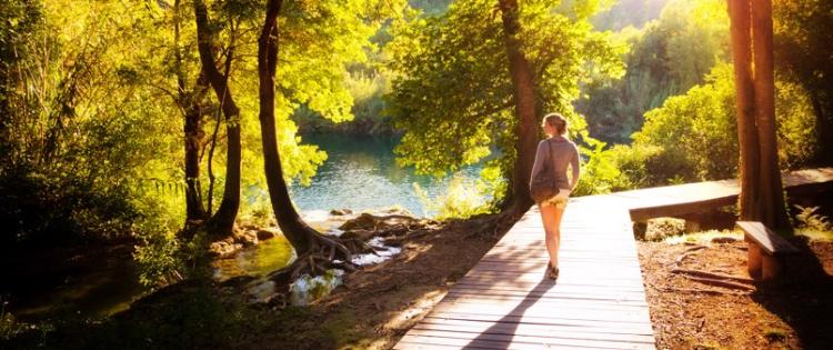 Photo of a woman walking along a raised path through a sunlit forest with a lake in the distance