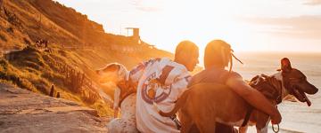 Two people sitting outside with their dogs at sunset.