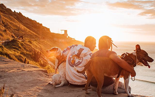 Two people sitting outside with their dogs at sunset.